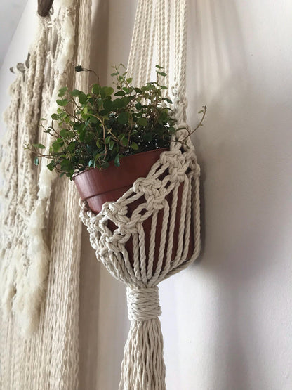 Macrame plant hanger with a potted plant against a neutral wall.