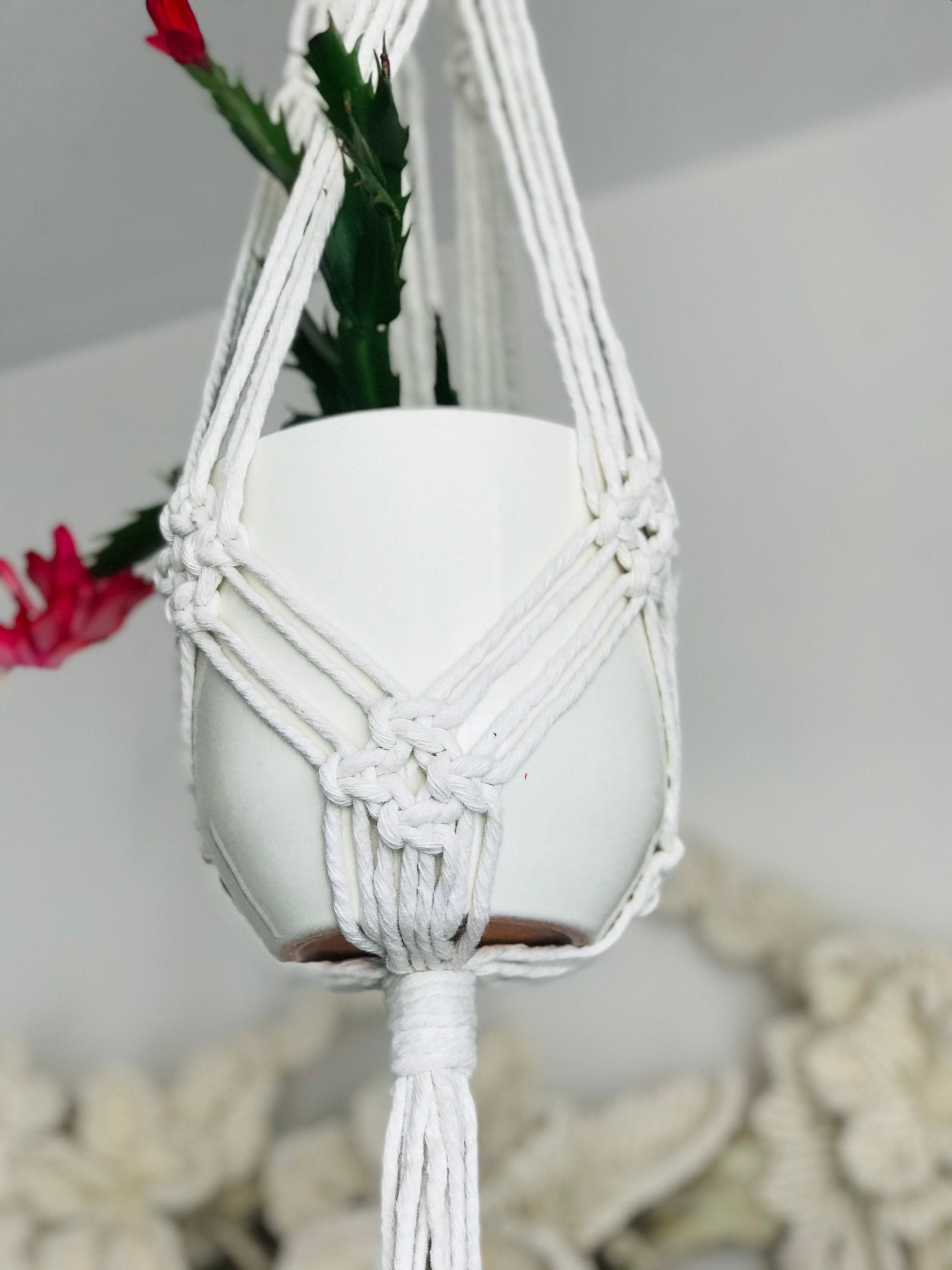 White macrame plant hanger with a pot of green plant against a neutral background