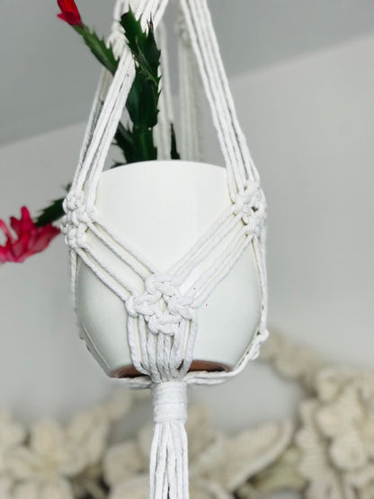 White macrame plant hanger with a pot of green plant against a neutral background