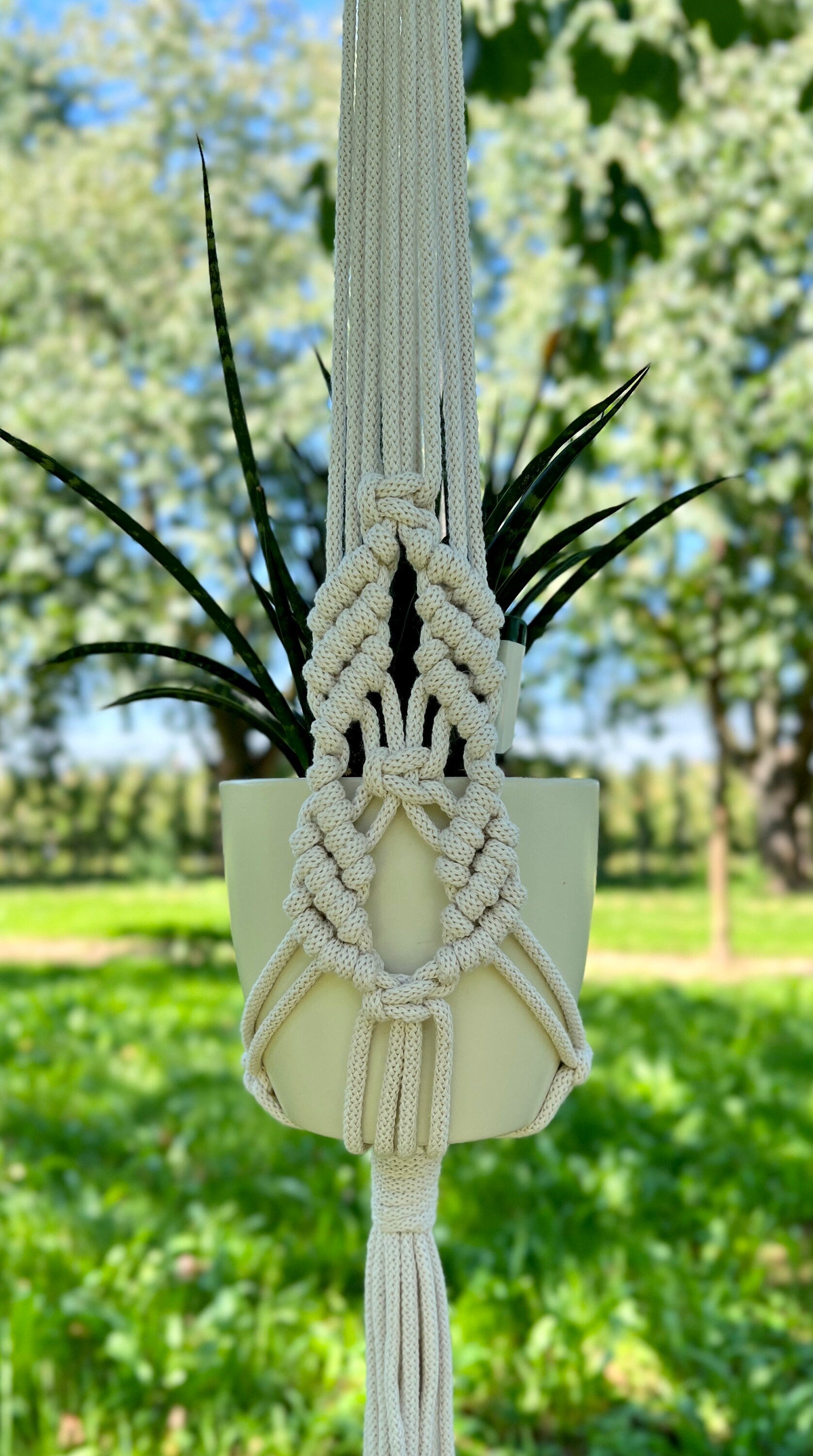 Macrame plant hanger with a plant against a blurred outdoor background