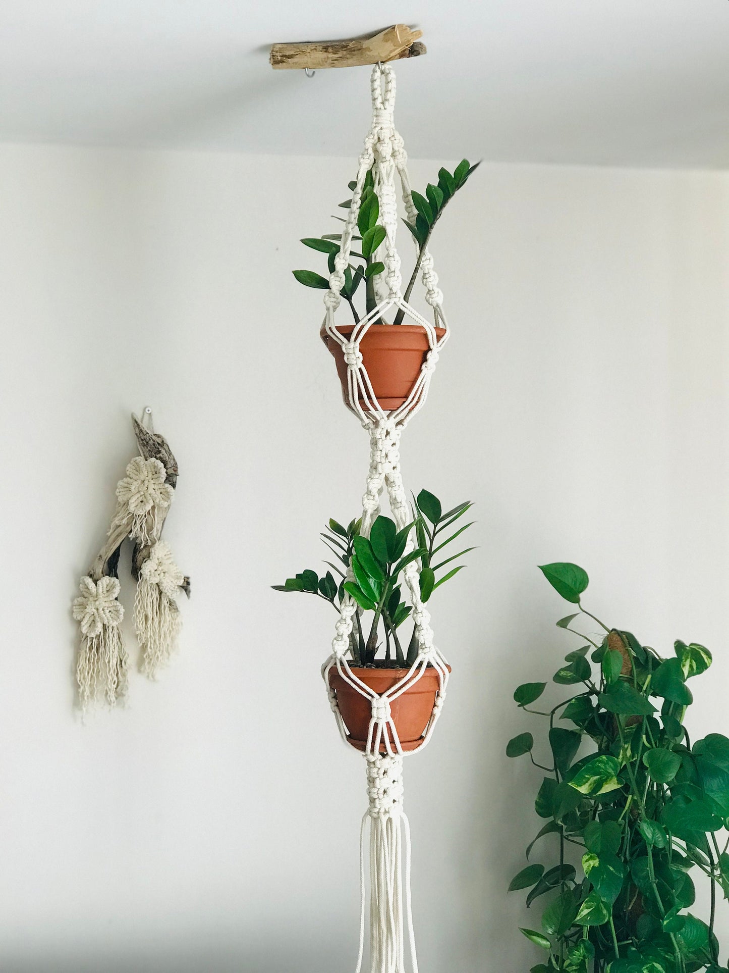 Double macrame plant hanger with two potted plants against a white wall.