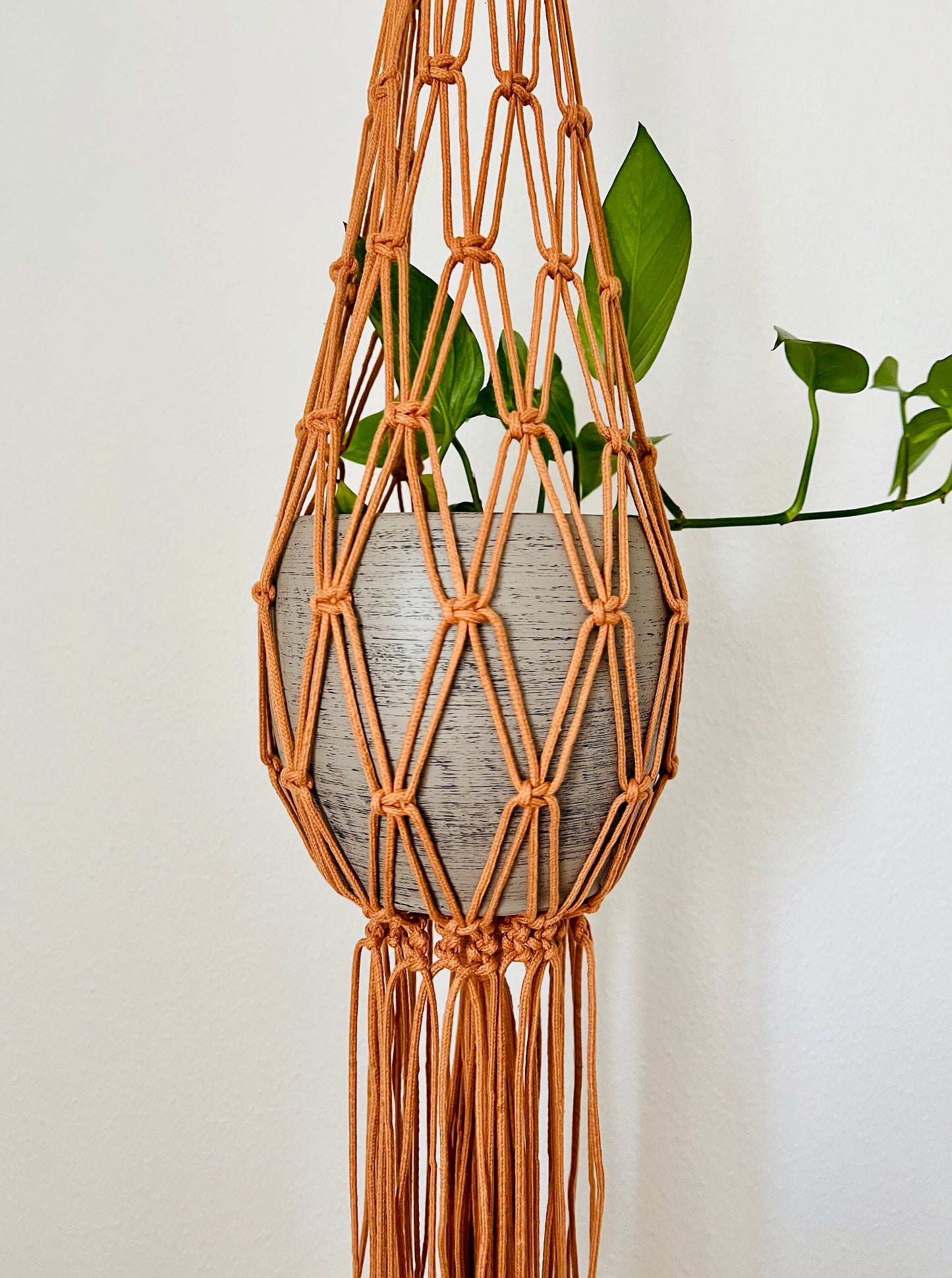 Macrame plant hanger with a pot and plant against a white background