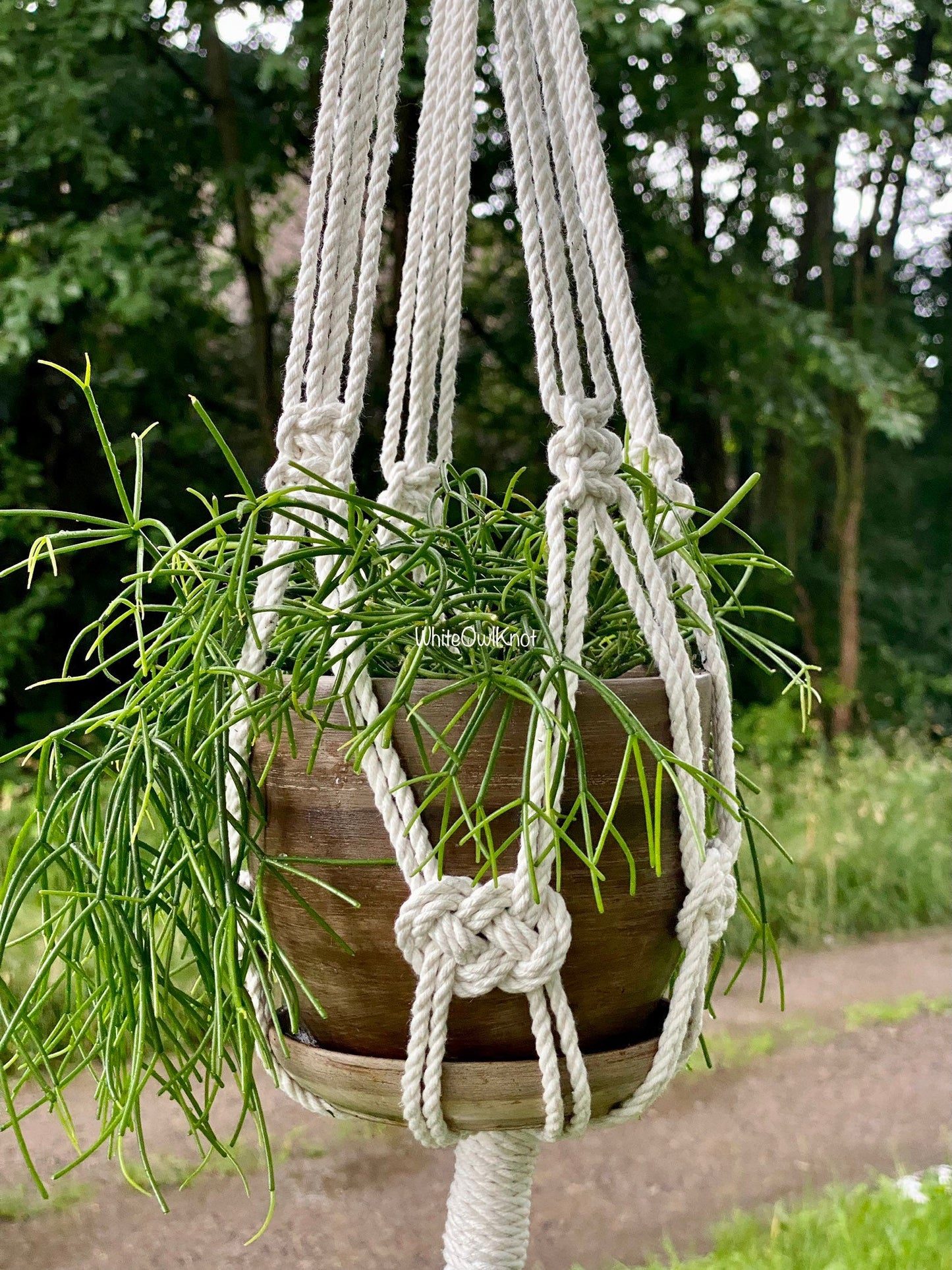 Macrame plant hanger with a pot of green plant against a natural background