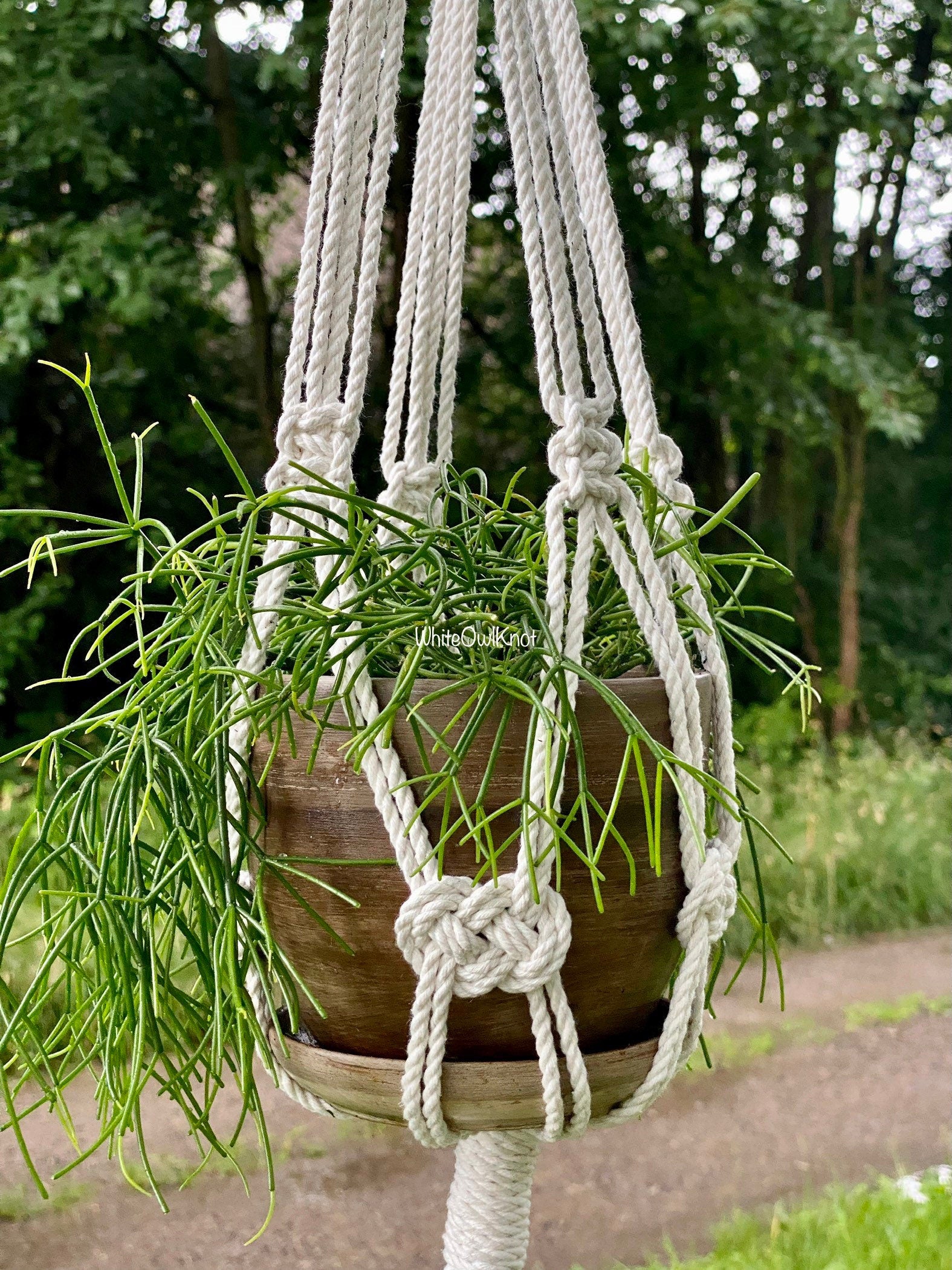 Macrame plant hanger with a pot of green plant against a natural background
