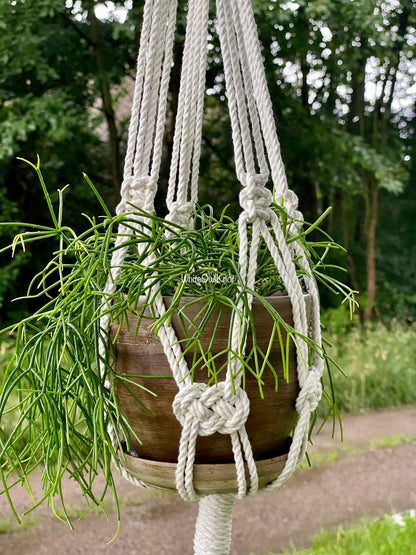 Macrame plant hanger with a pot of green plant against a natural background
