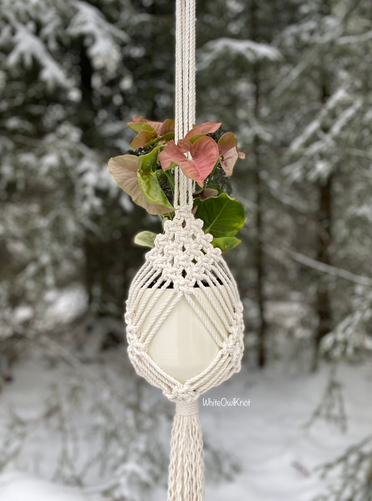 Macrame plant hanger with a white stone against a snowy forest background
