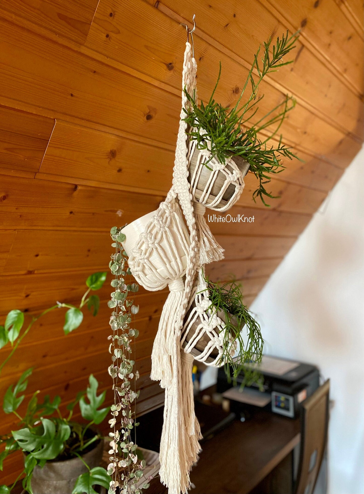 Macrame plant hanger with plants against a wooden wall.