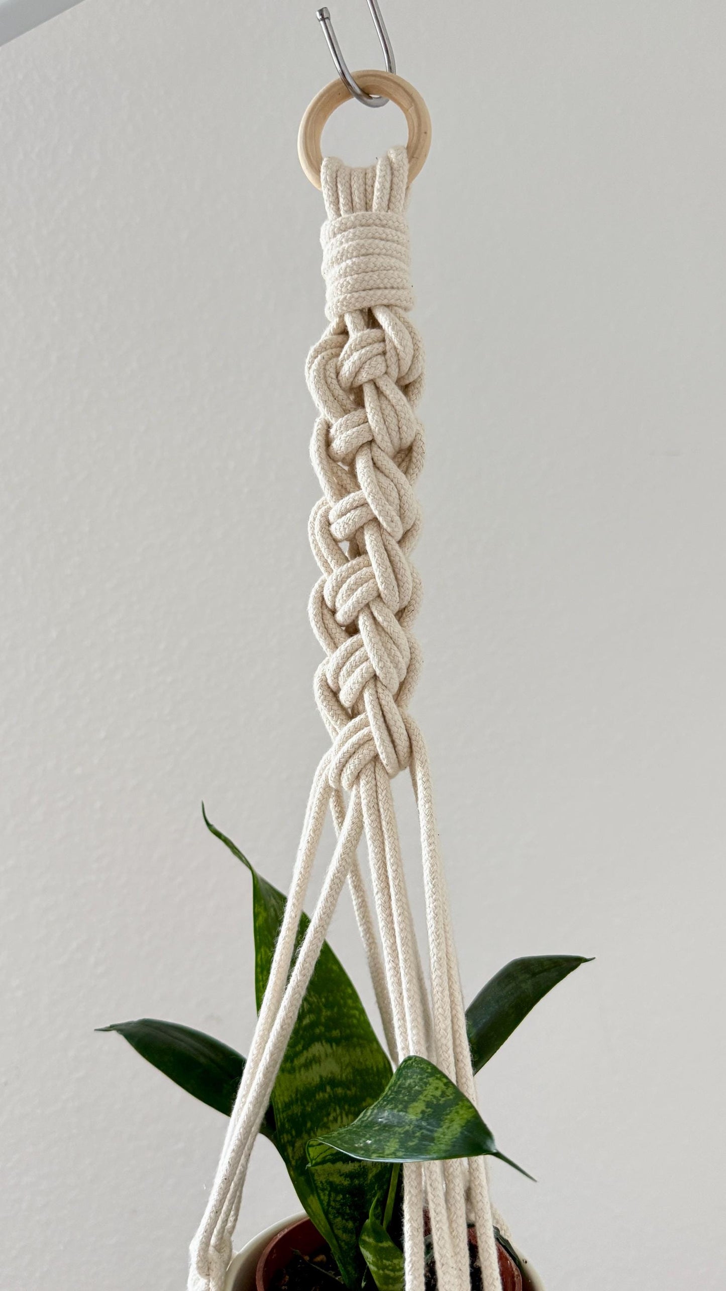 Macrame plant hanger with a plant against a plain background