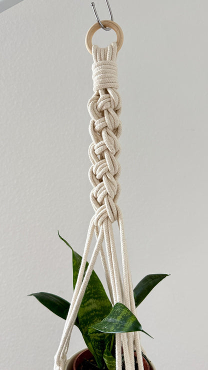 Macrame plant hanger with a plant against a plain background