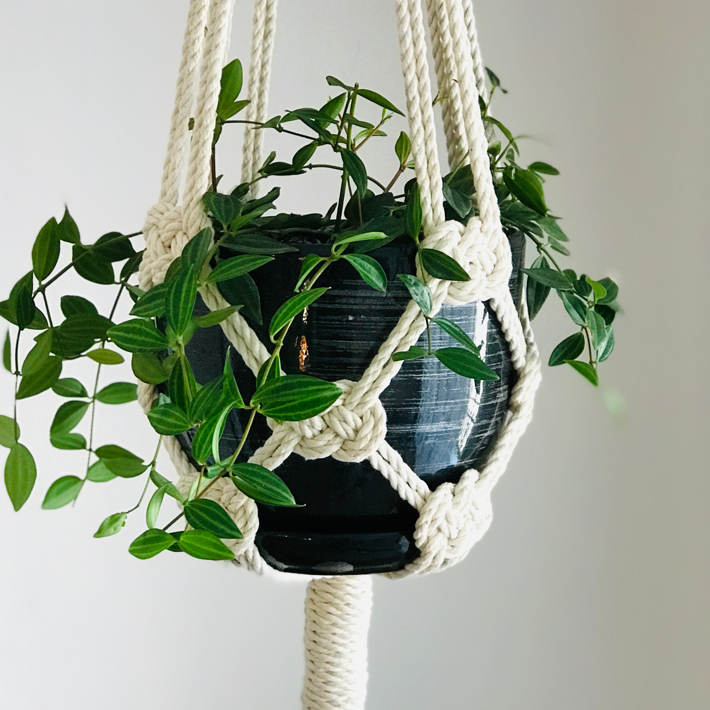 4 Makramee-Pflanzenampel DIY Anleitungen - Verwandeln Sie Terrasse und Balkon mit eklektischer Dekoration. Sofortige digitale Downloads. Geschenkidee für Pflanzenliebhaber