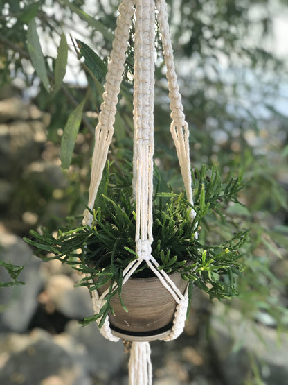 Macrame plant hanger with a small potted plant against a natural background