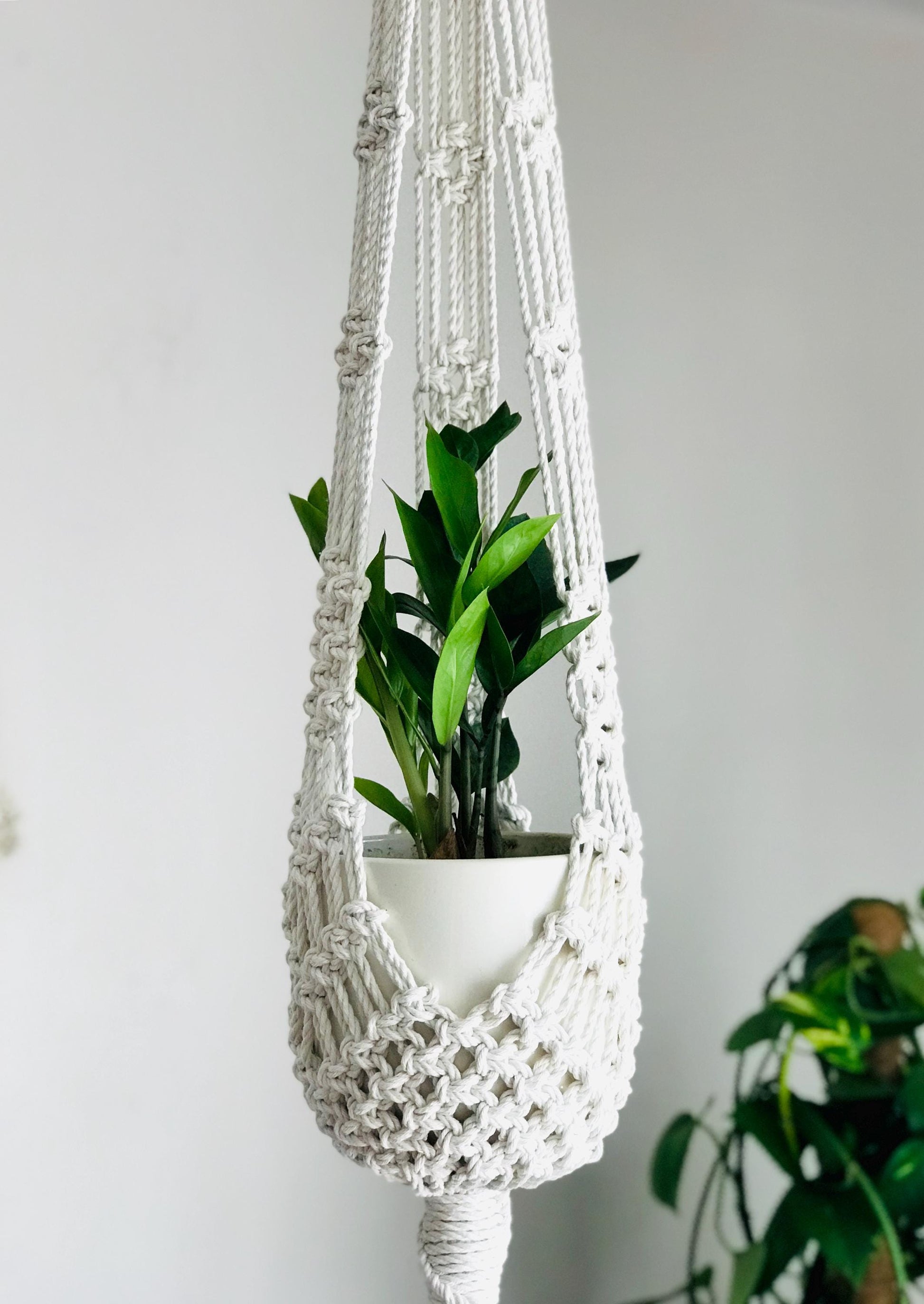Macrame plant hanger with a potted plant against a white wall