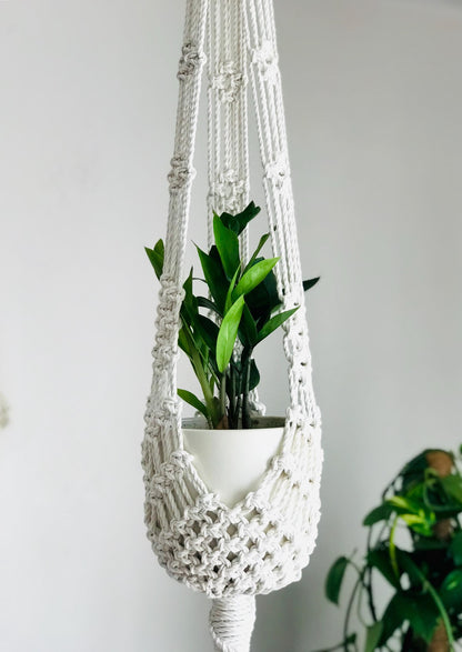 Macrame plant hanger with a potted plant against a white wall