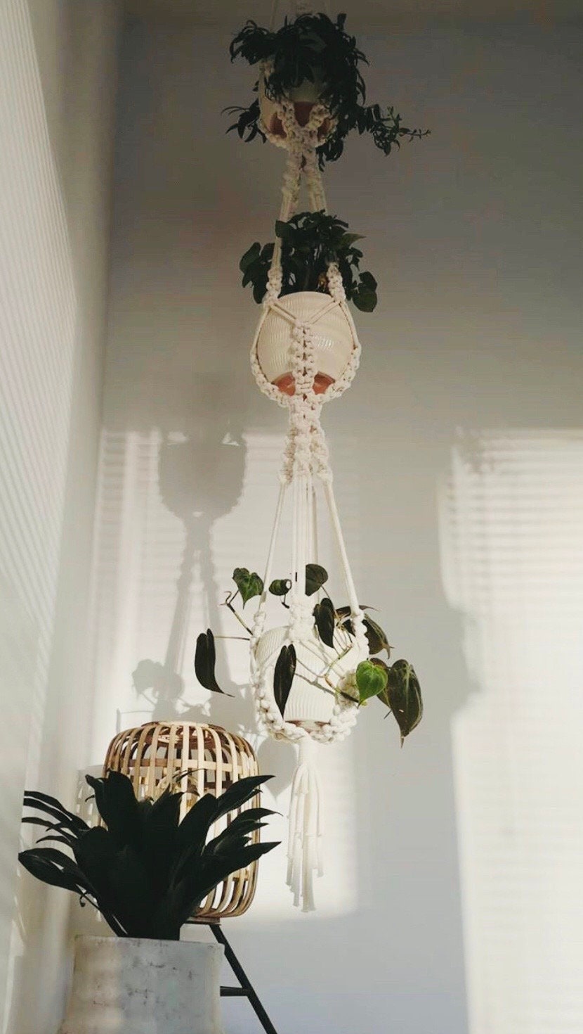 Macrame plant hanger with plants against a white wall