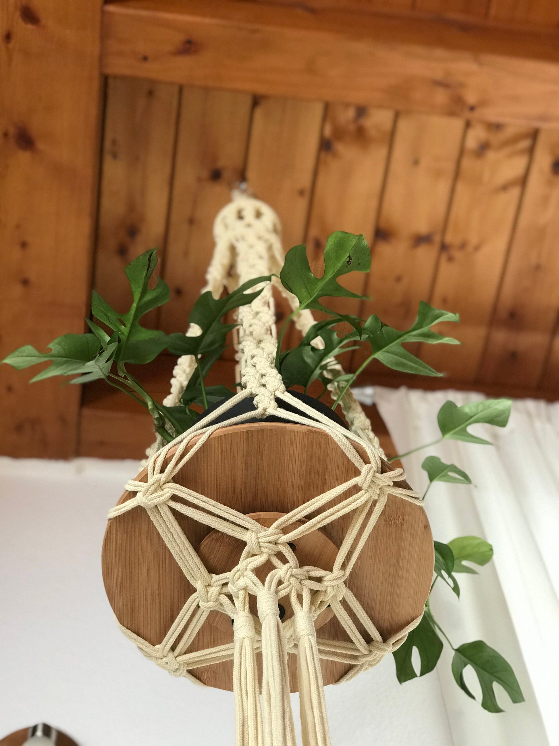 Macrame plant hanger with wooden disc and green leaves against a wooden wall.