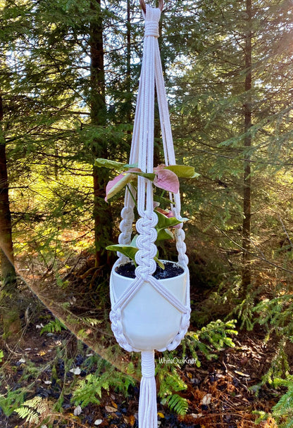 White macrame plant hanger with a pot holding a plant in a forest setting
