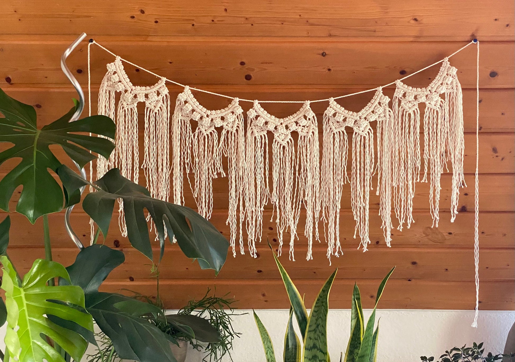 Macrame wall hanging with plants in the foreground against a wooden wall.
