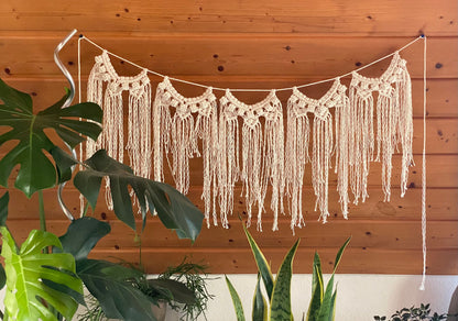 Macrame wall hanging with plants in the foreground against a wooden wall.