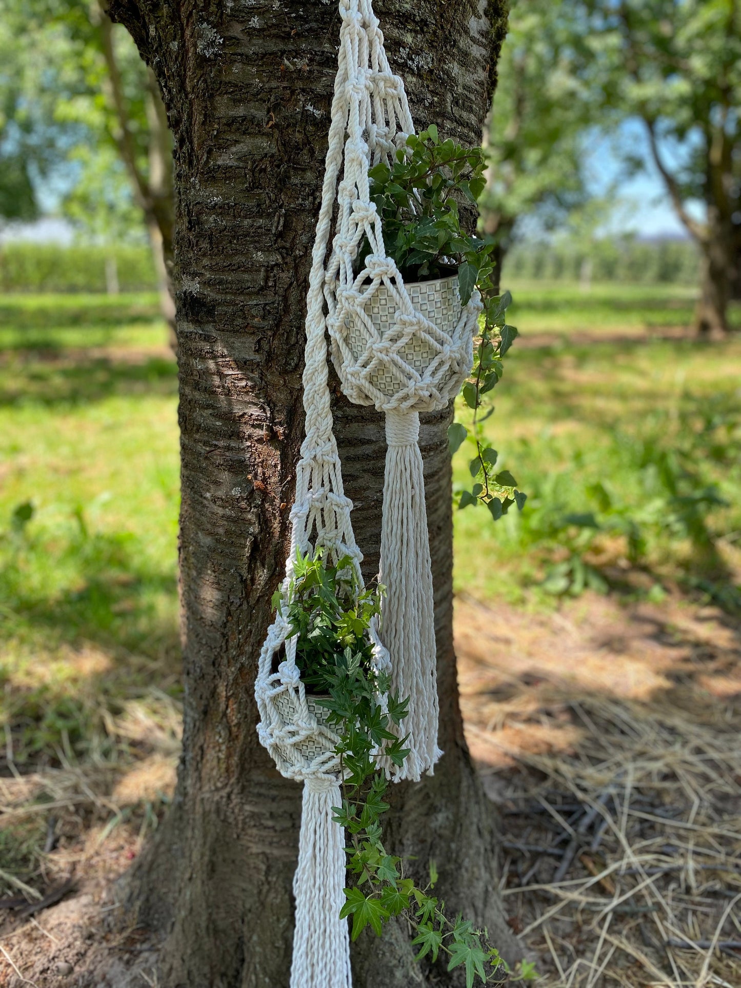 Double Macrame Plant Hanger Pattern PDF – Vertical Two-Pot Design