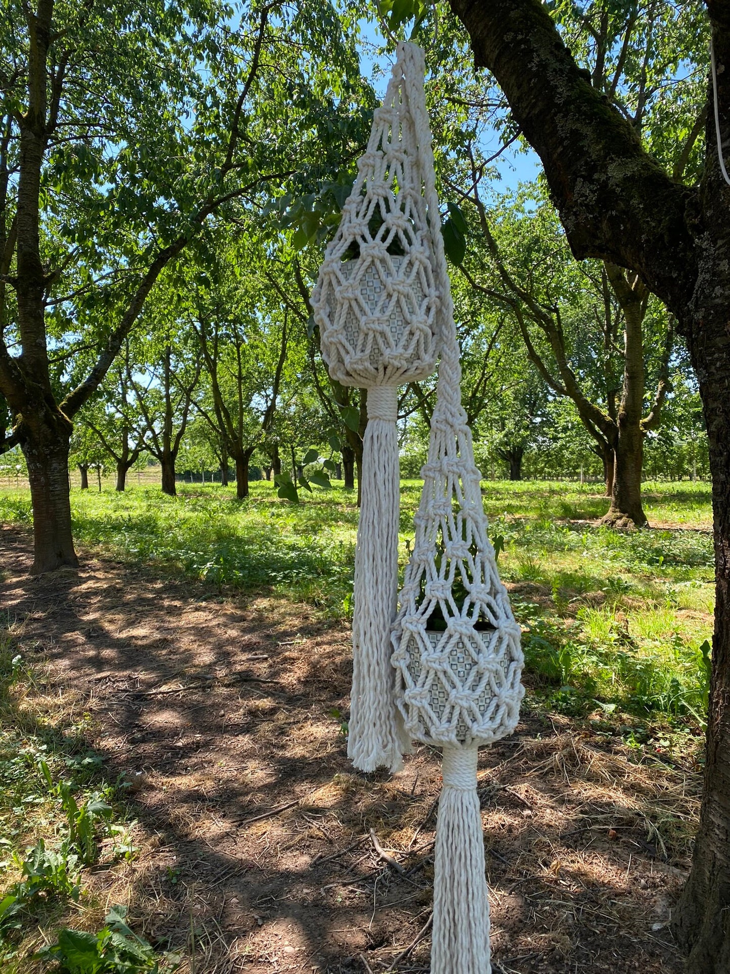 Double Macrame Plant Hanger Pattern PDF – Vertical Two-Pot Design