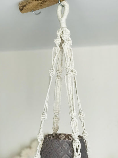 Macrame plant hanger with a textured pot on a neutral background