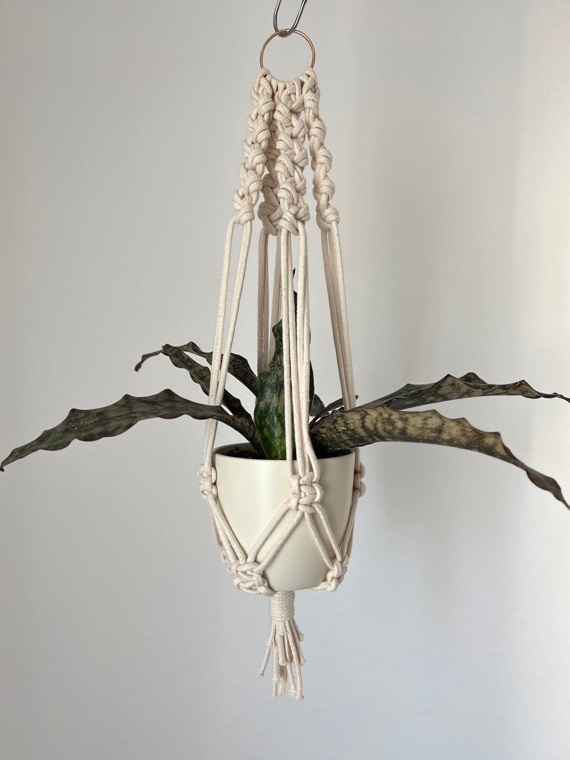 Macrame plant hanger with a plant against a plain background