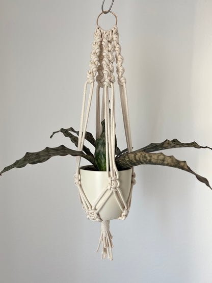 Macrame plant hanger with a plant against a plain background