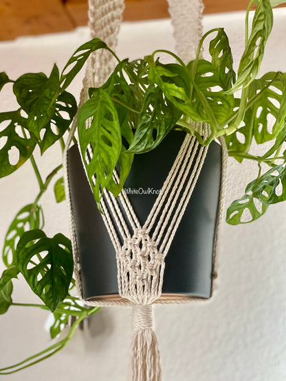 Macrame plant hanger with a plant on a white background
