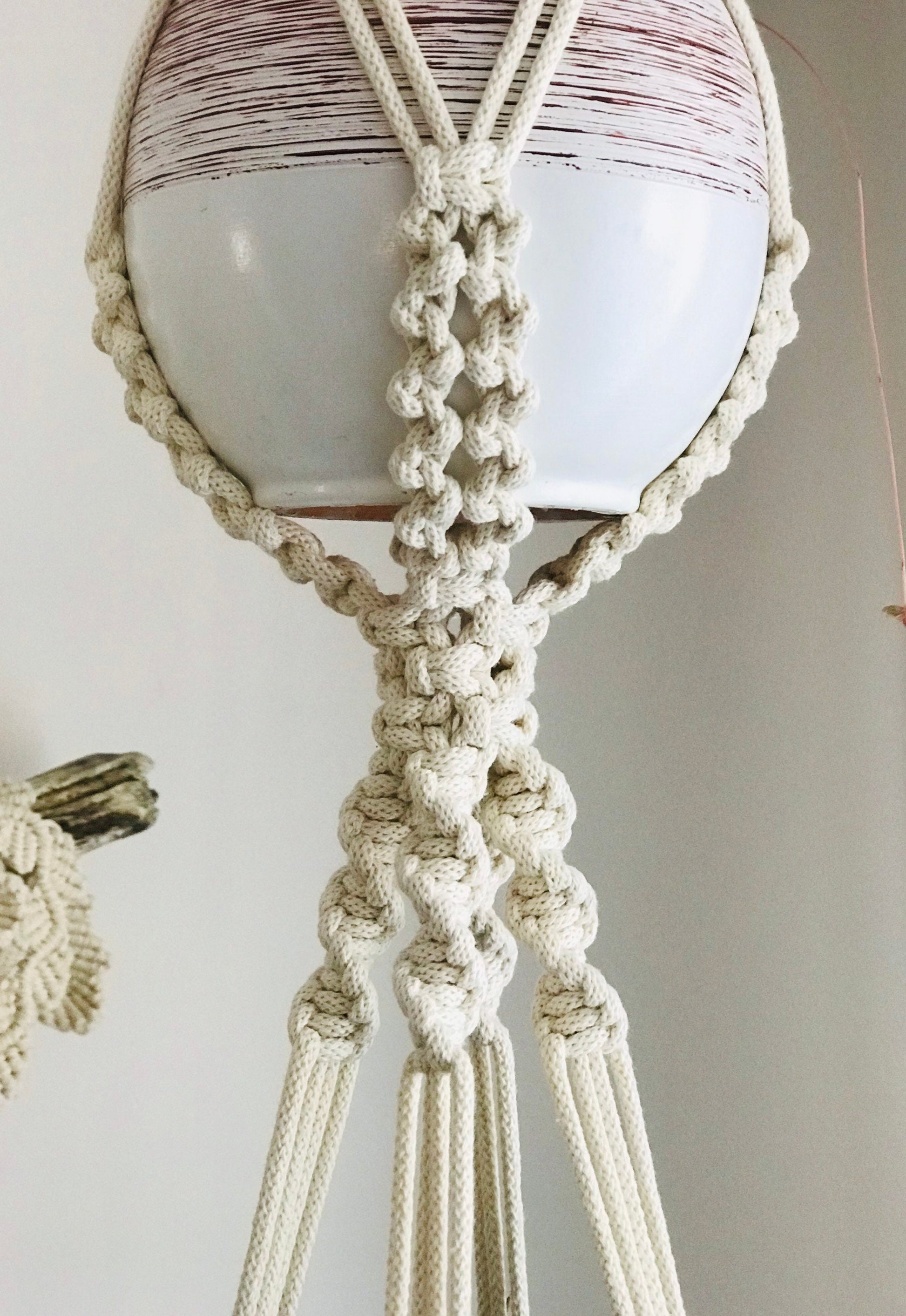Macrame plant hanger with a white pot on a neutral background