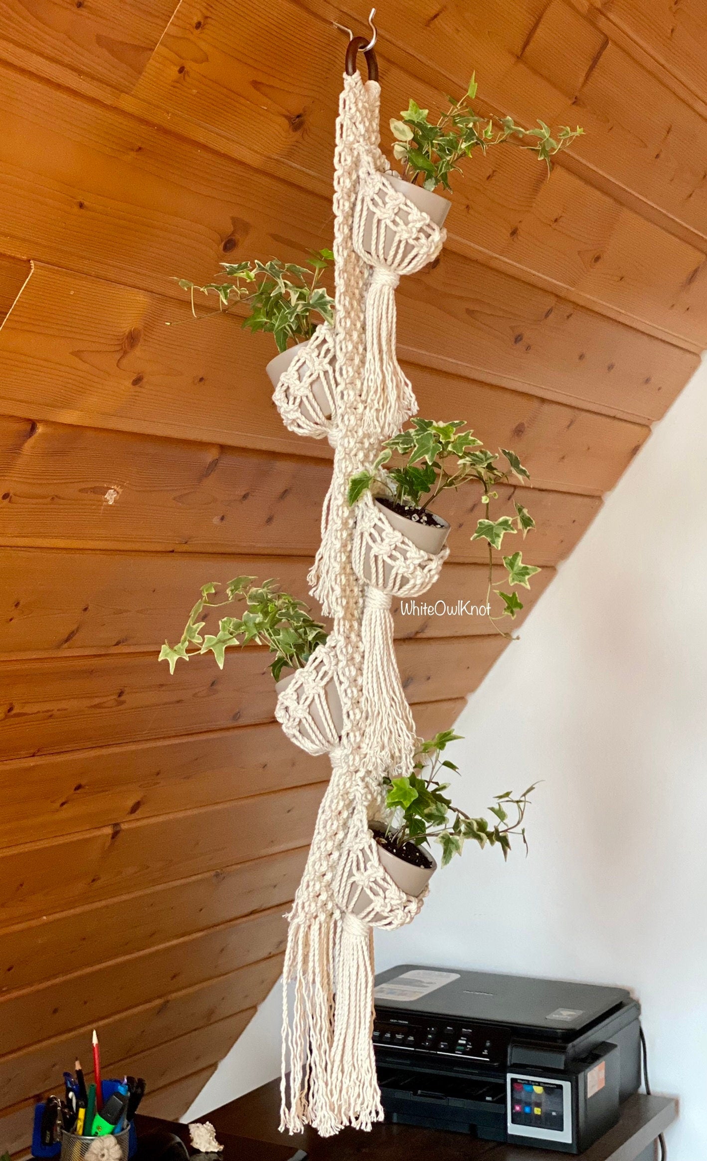 Macrame plant hanger with plants against a wooden wall.