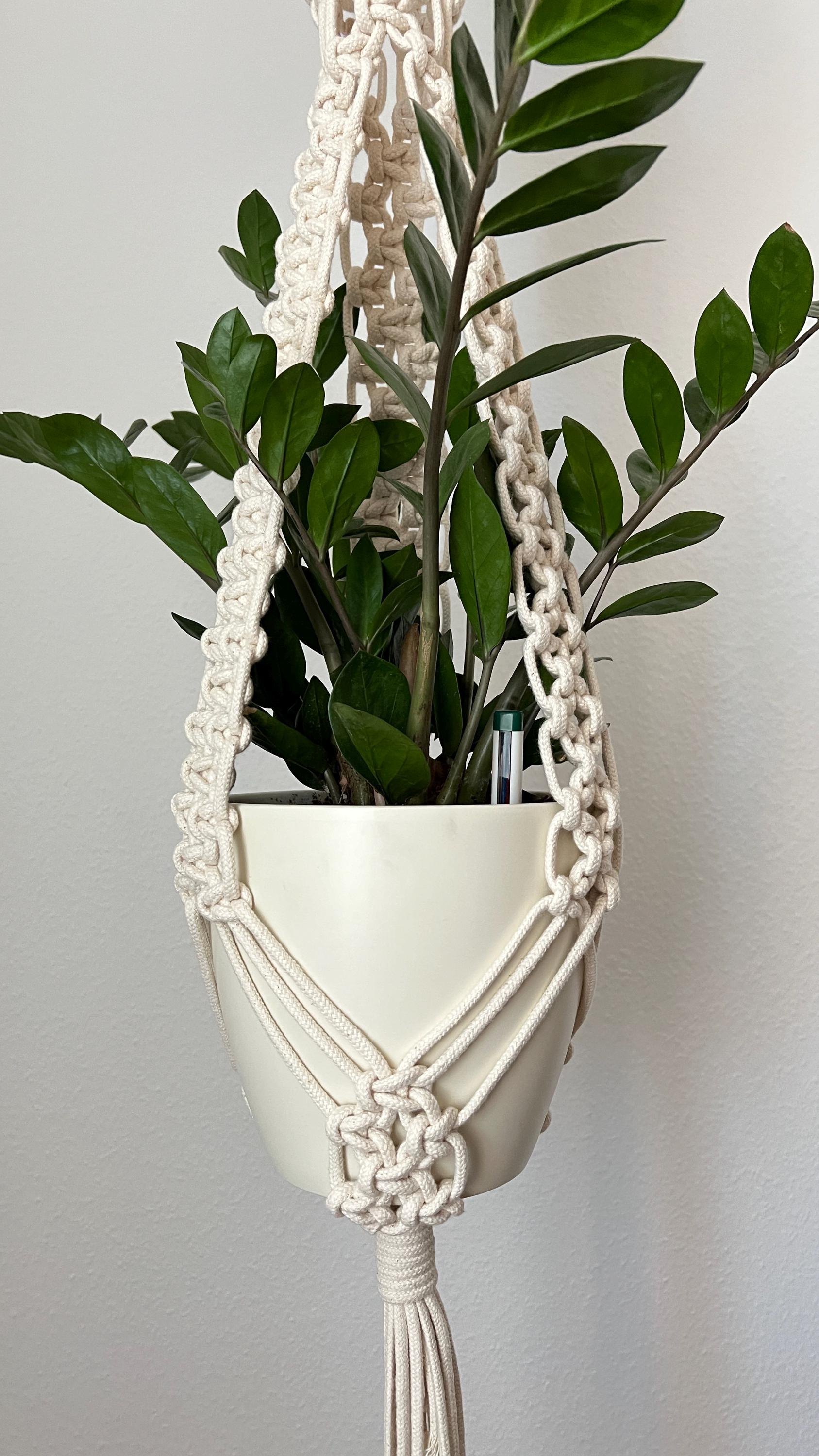 Macrame plant hanger with a white pot and green plant against a plain background