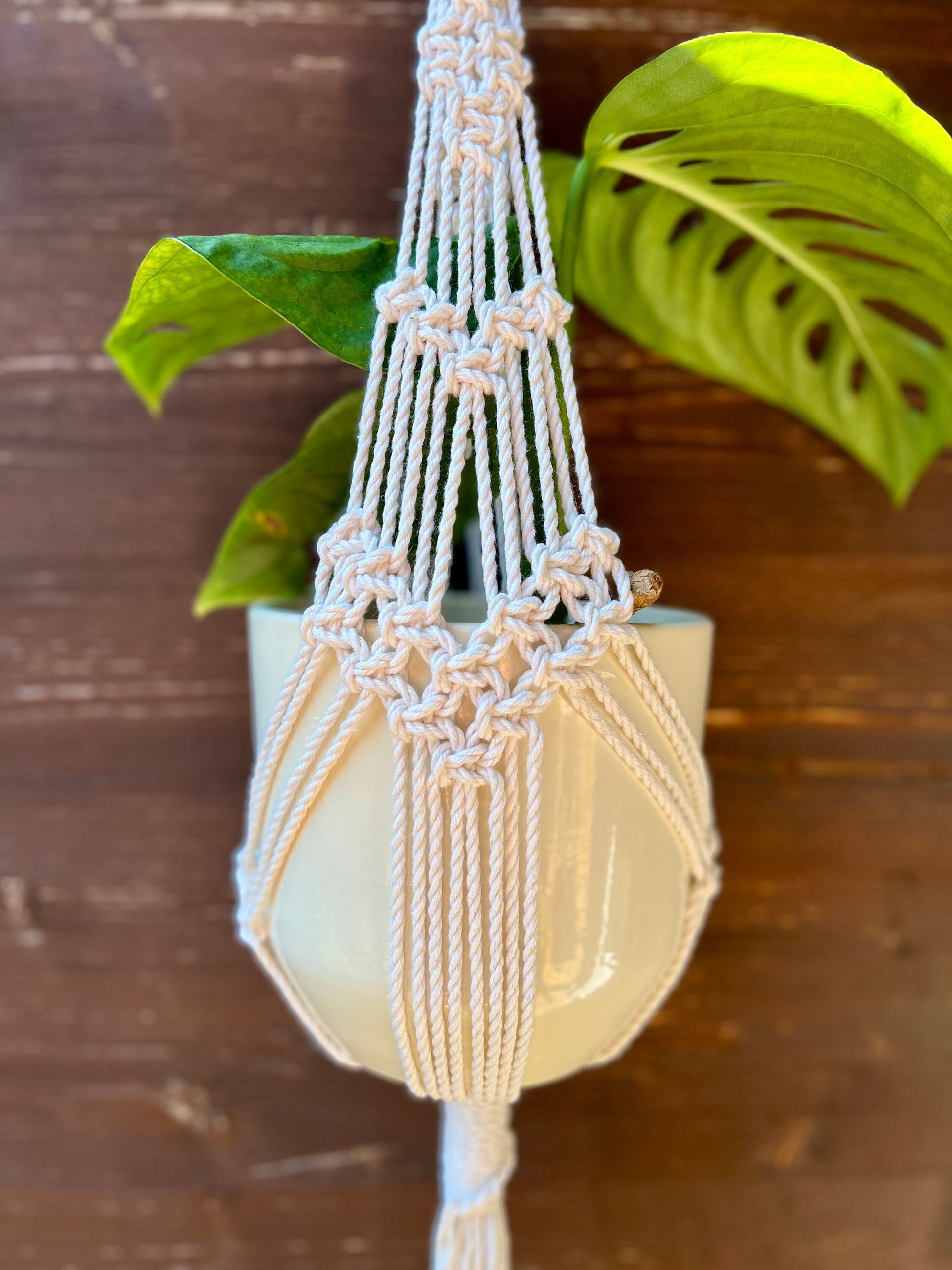 Macrame plant hanger with a pot against a wooden background