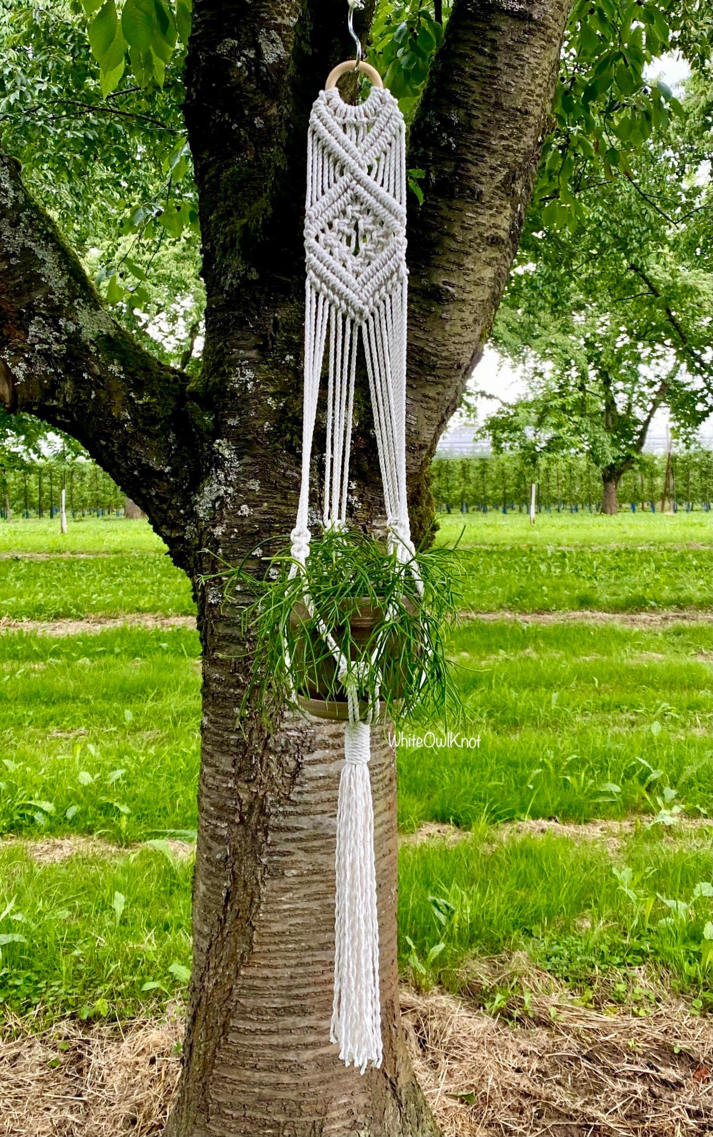 Macrame wall hanging with white fringes hanging from a tree in a grassy outdoor setting.