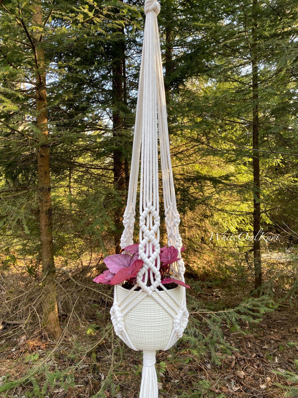 Macrame plant hanger with a pink plant in a forest setting
