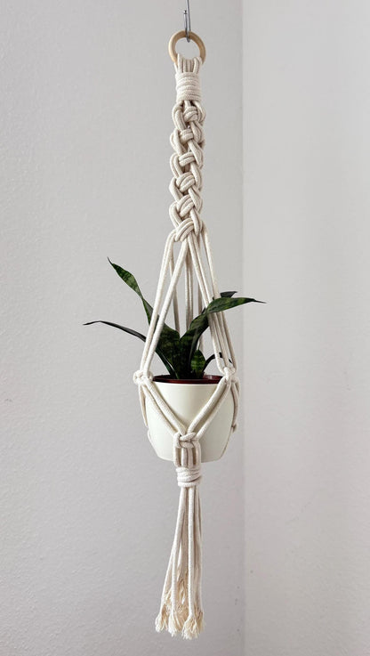 Macrame plant hanger with a plant against a plain wall