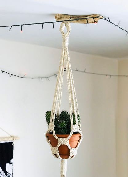 Macrame plant hanger with a potted plant against a neutral wall.