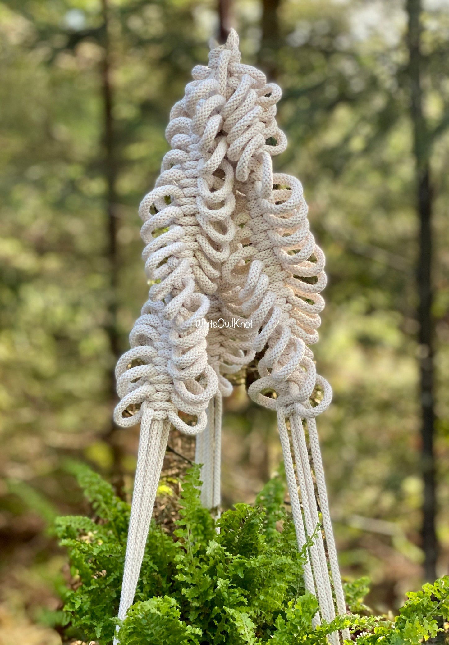 Macrame plant hanger with intricate design hanging on a tree branch with a blurred natural background.