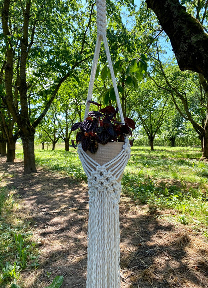 Macrame plant hanger with a plant hanging from a tree in an orchard.