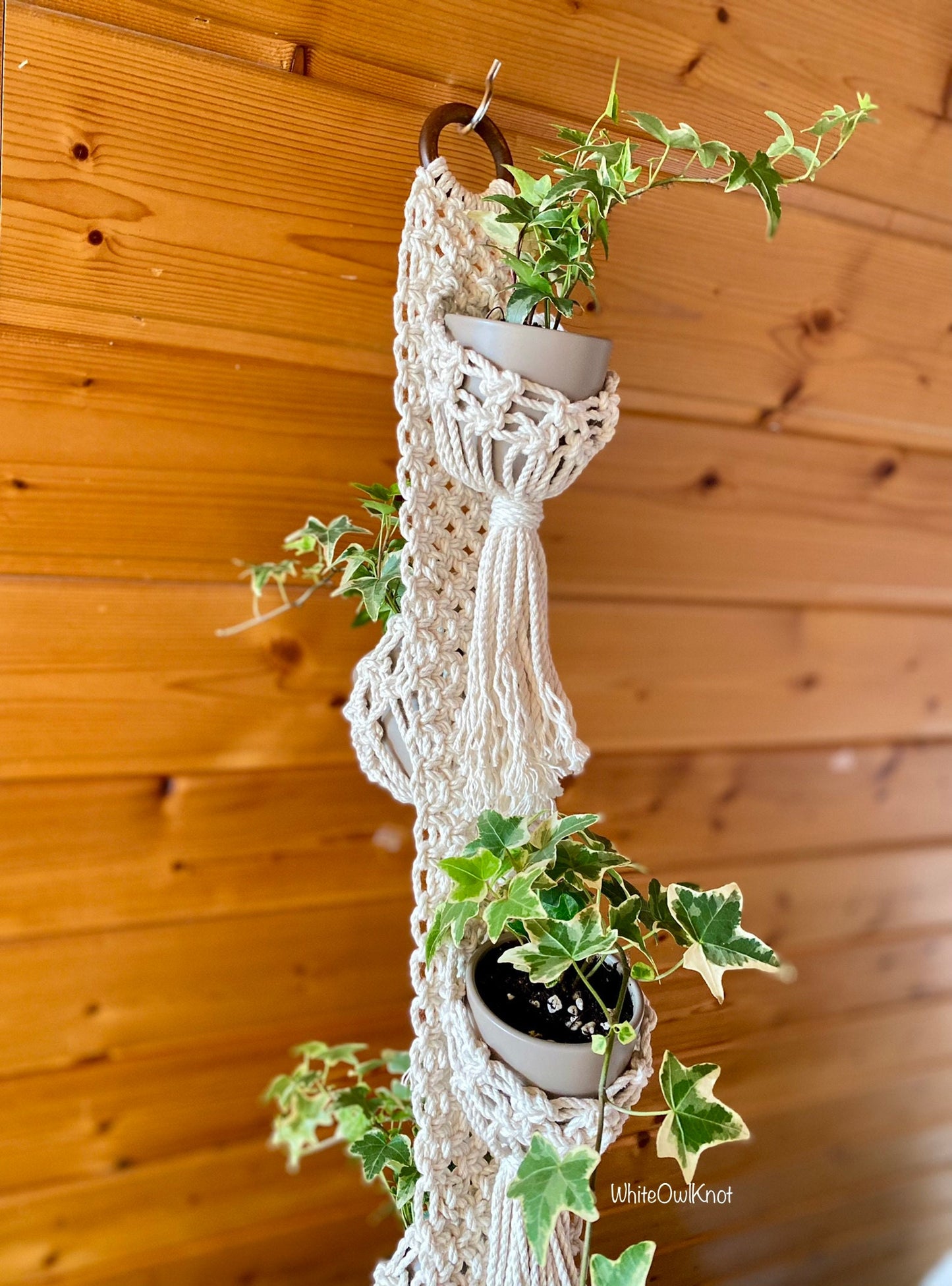 Macrame plant hanger with potted plants against a wooden wall.