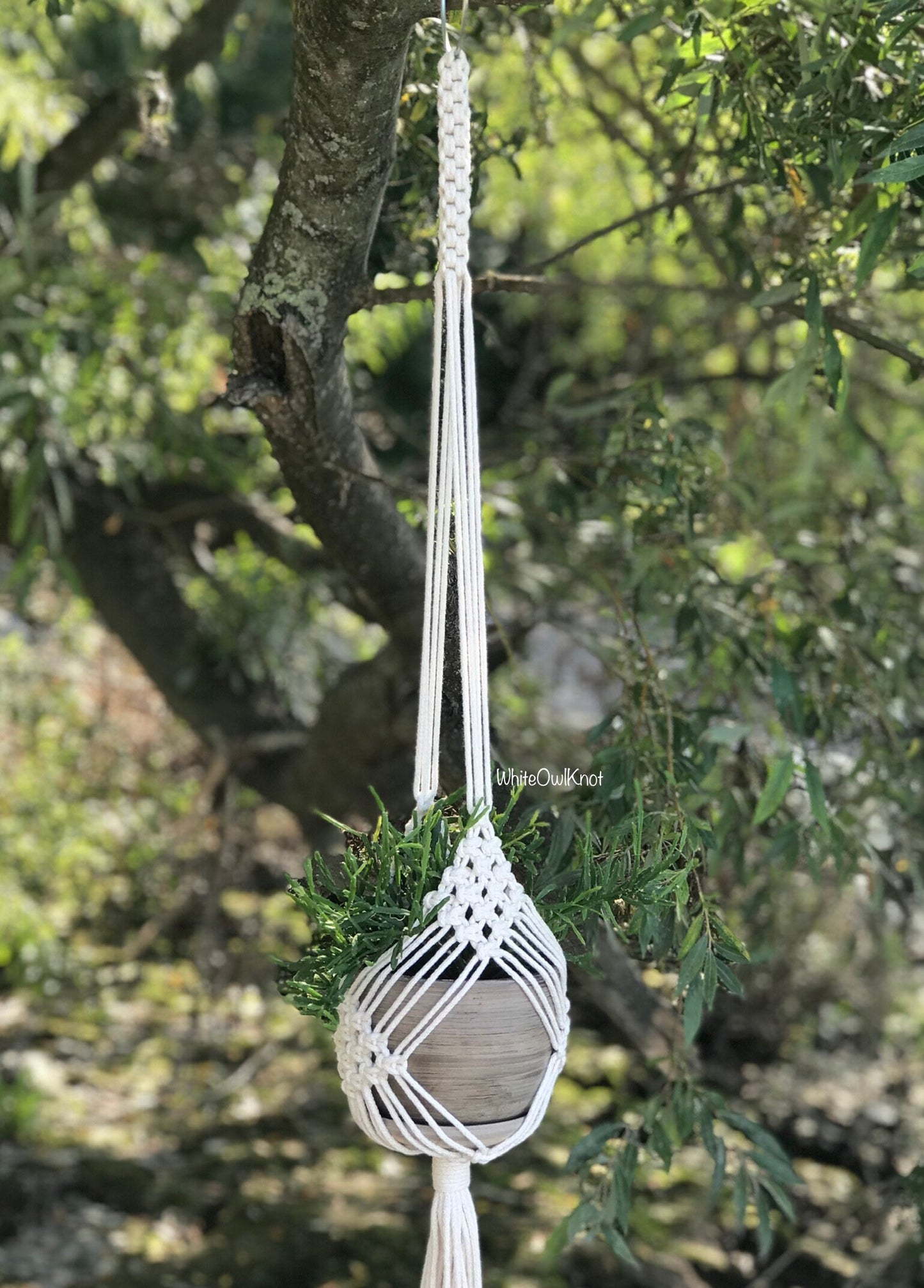 Macrame plant hanger hanging from a tree with a blurred natural background