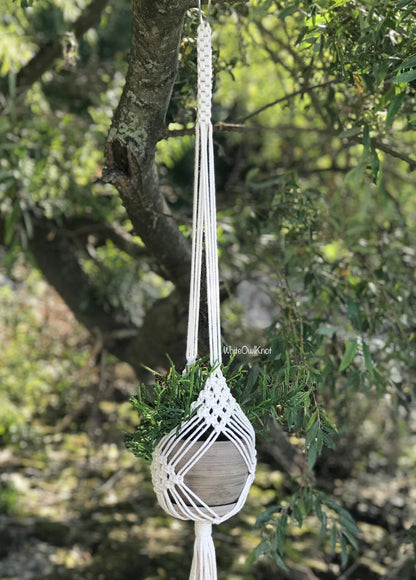 Macrame plant hanger hanging from a tree with a blurred natural background