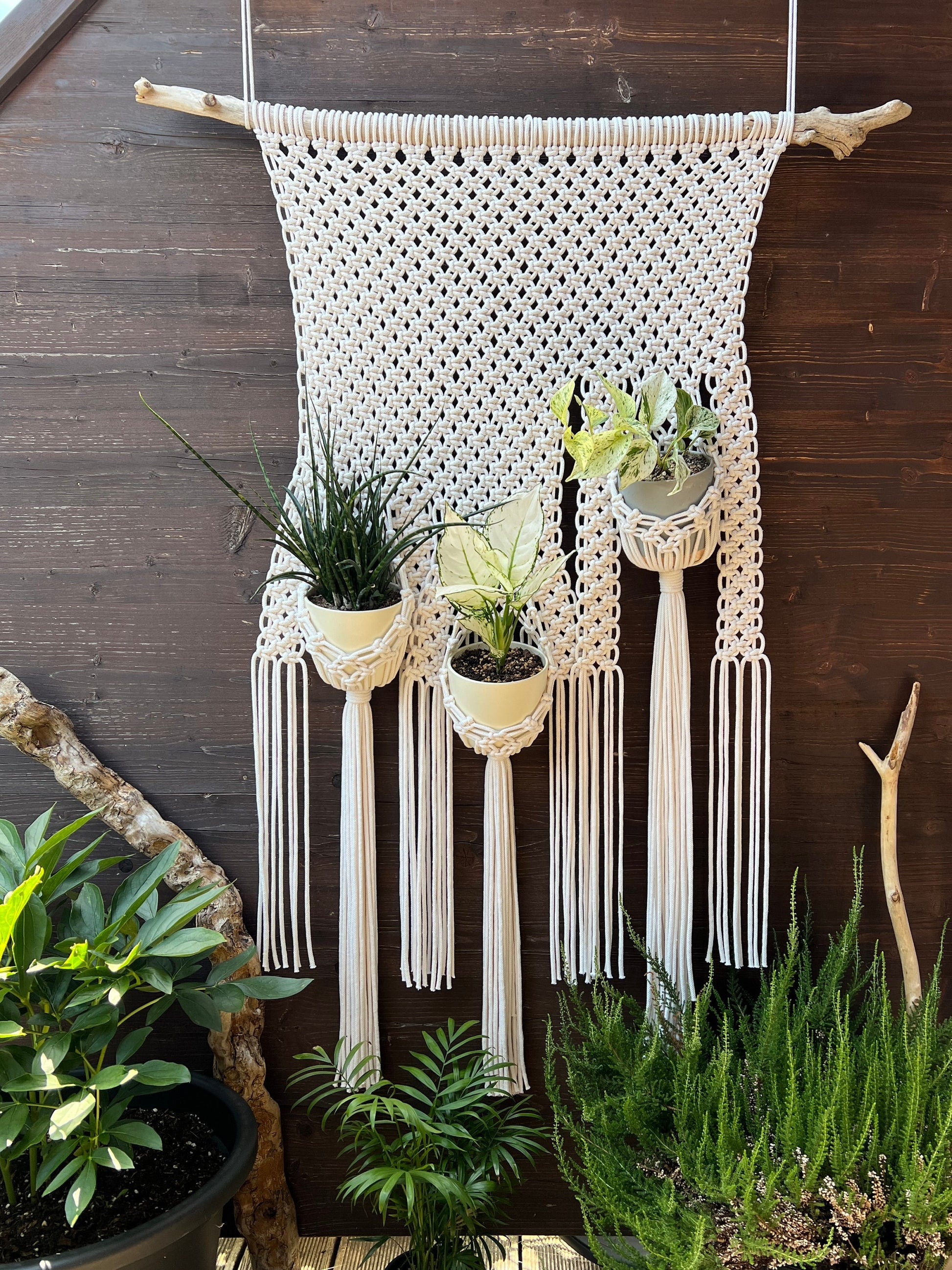 Macrame wall hanging with plant holders against a wooden background