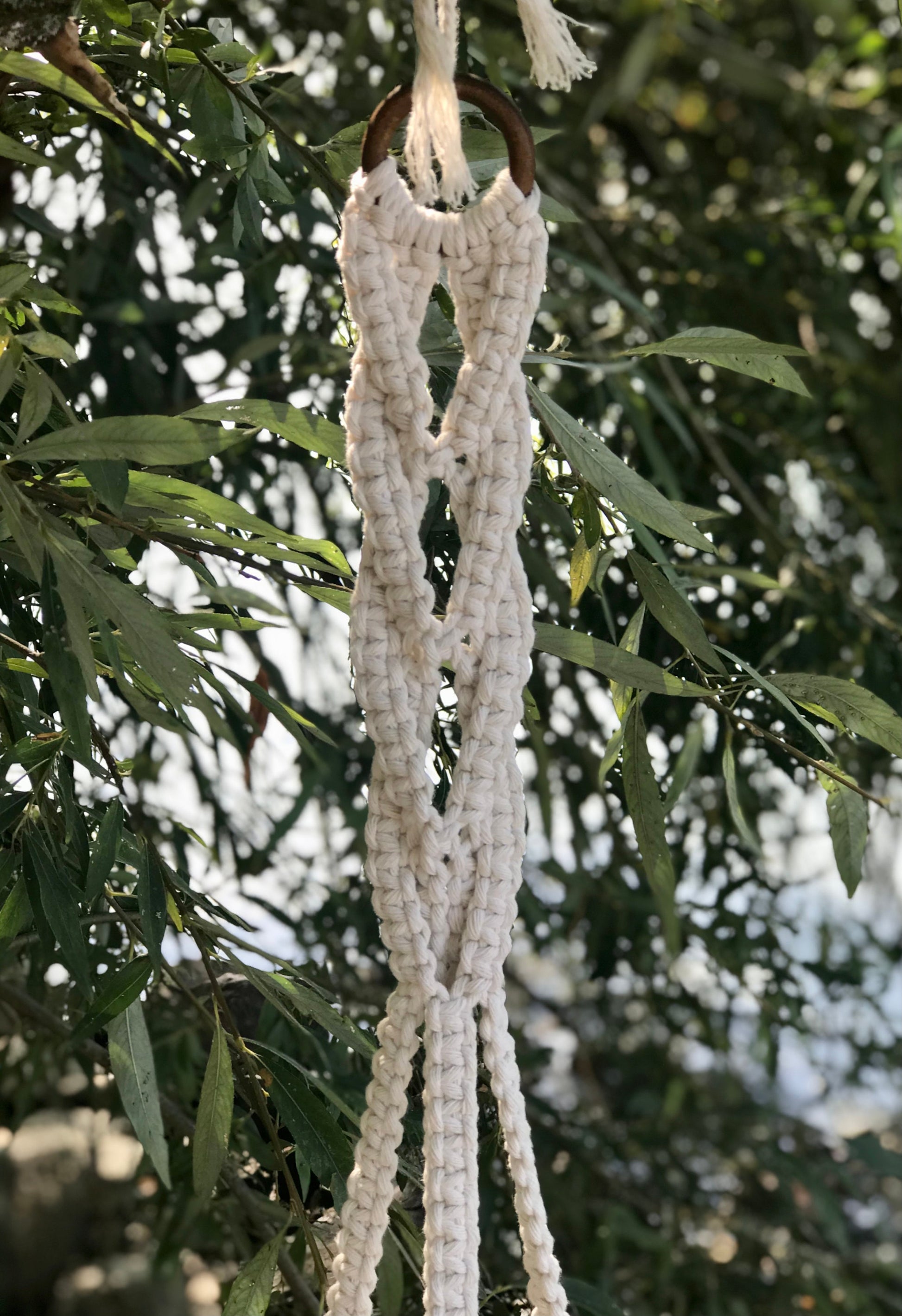 Macrame plant hanger hanging from a tree branch with green leaves in the background
