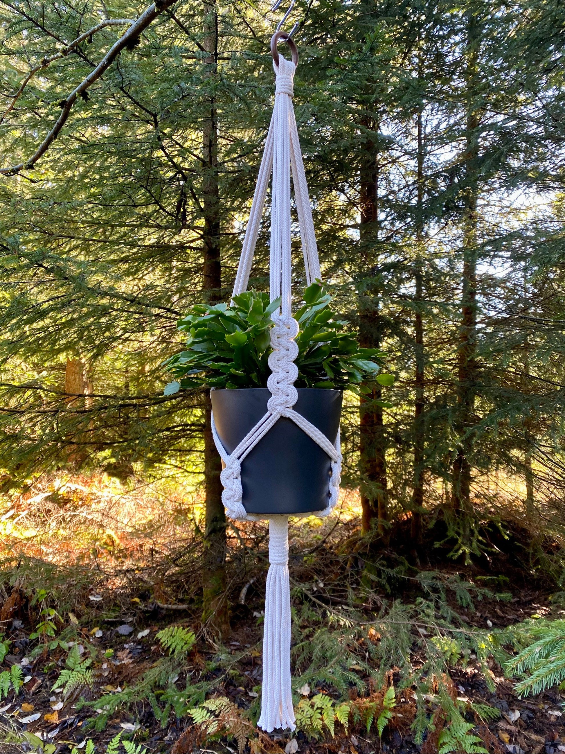 Macrame plant hanger with a potted plant in a forest setting