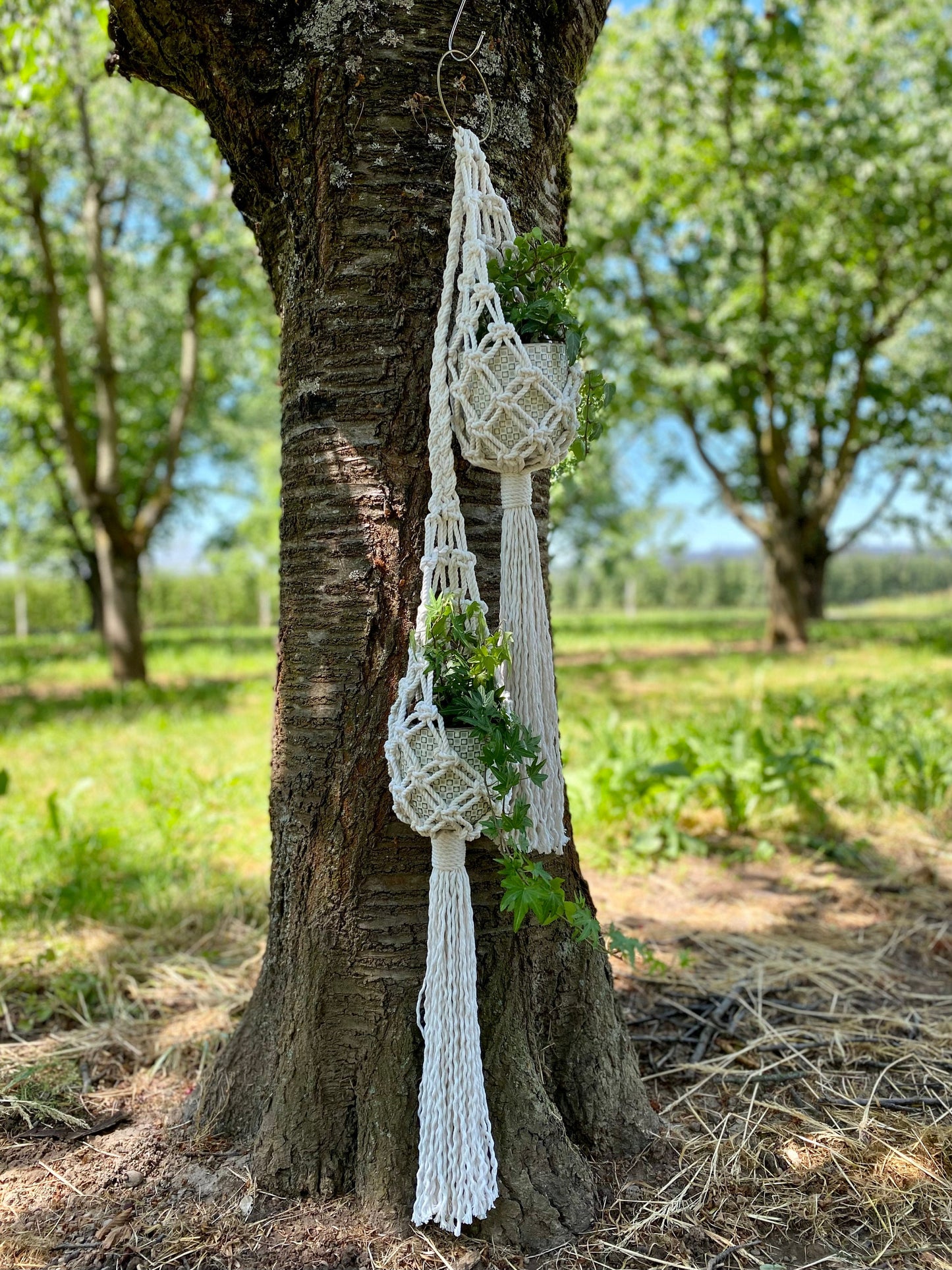 Double Macrame Plant Hanger Pattern PDF – Vertical Two-Pot Design