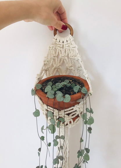 Macrame Plant Hanger Pattern PDF with Nest-Style Basket Design