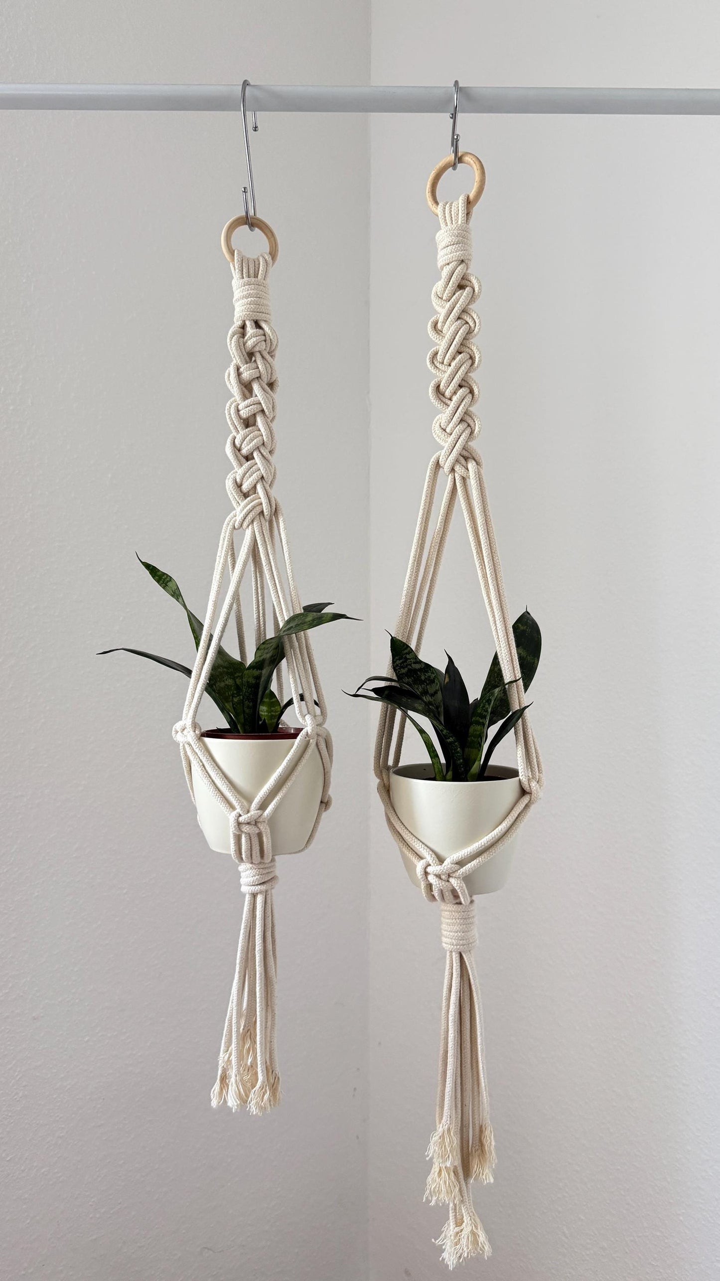 Two macrame plant hangers with plants against a plain background