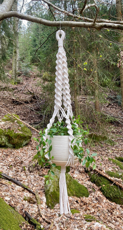 White macrame plant hanger with a pot of green plants hanging from a tree branch in a forest setting.