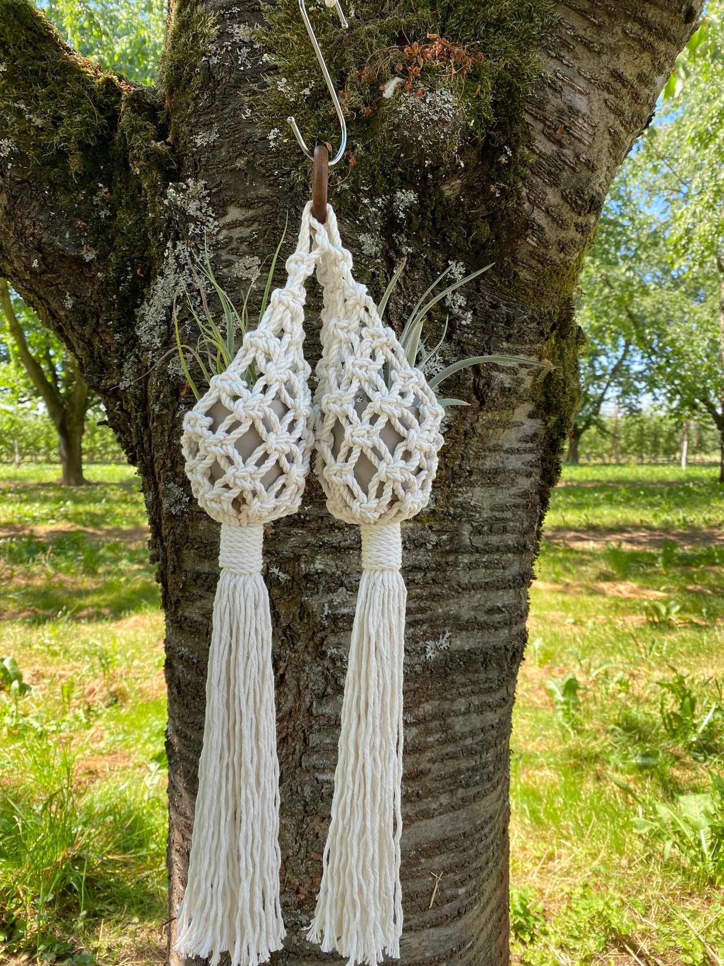 Two white macrame earrings hanging from a tree branch outdoors.