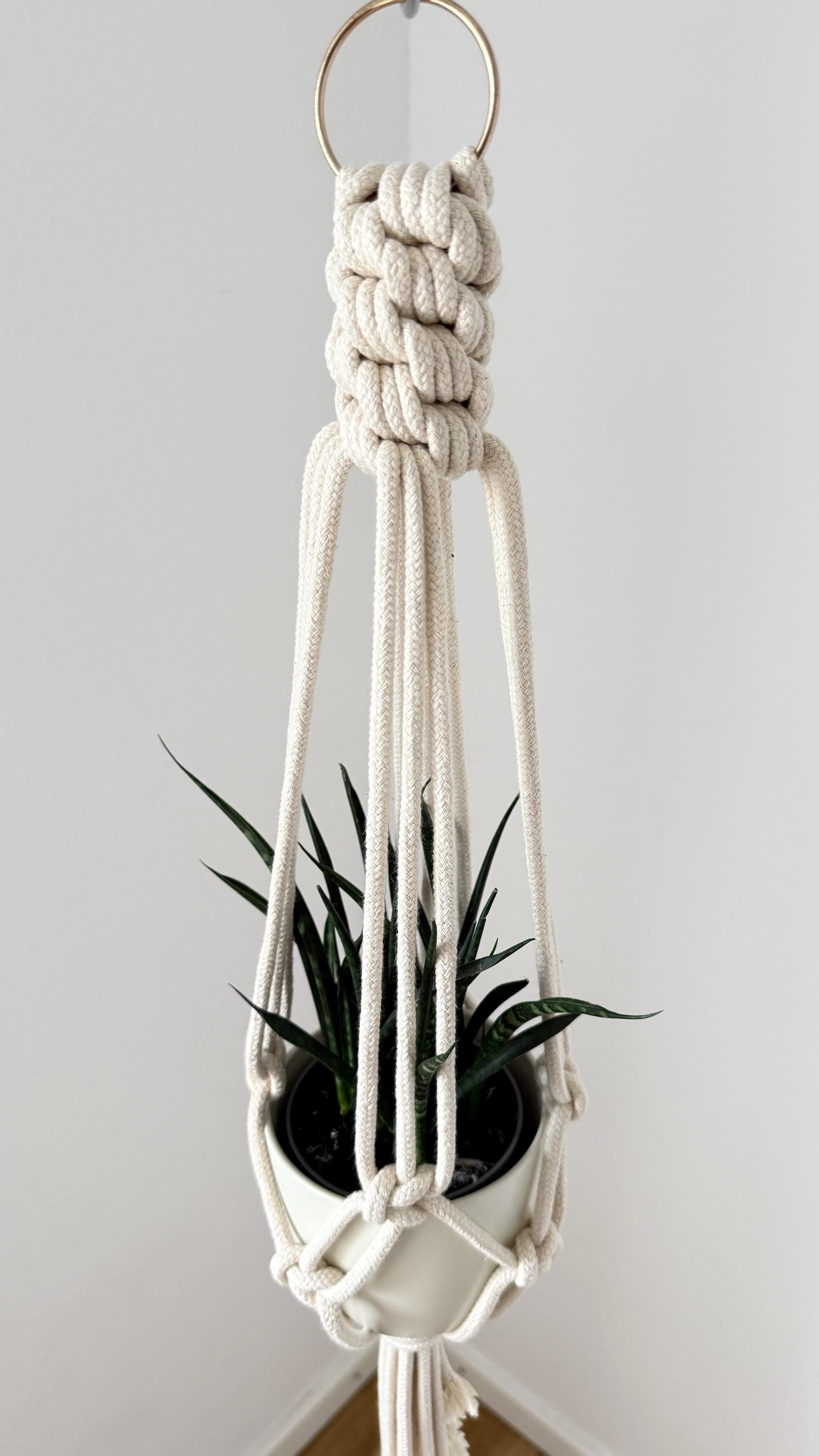 Macrame plant hanger with a plant against a plain background